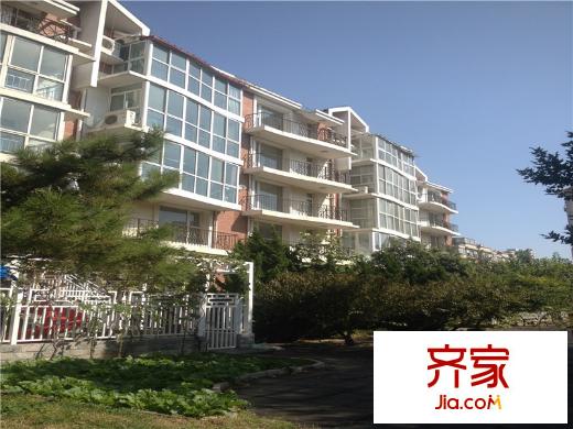 名人国际外景图