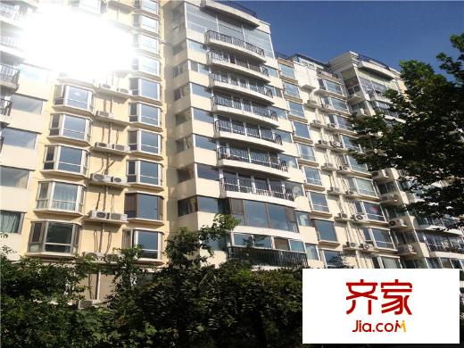 名人国际外景图