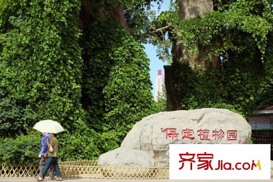 维多利亚夏郡配套图植物园