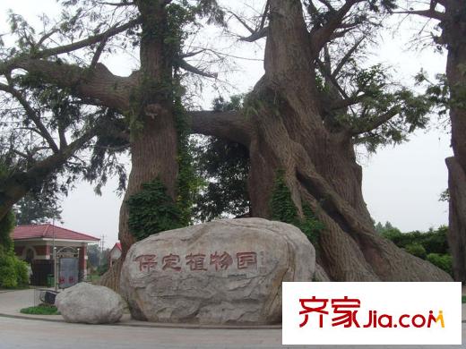 国海公寓植物园