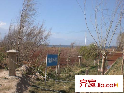 洱海国际生态城周边配套-洱海湿地
