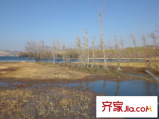 洱海国际生态城周边配套-洱海湿地
