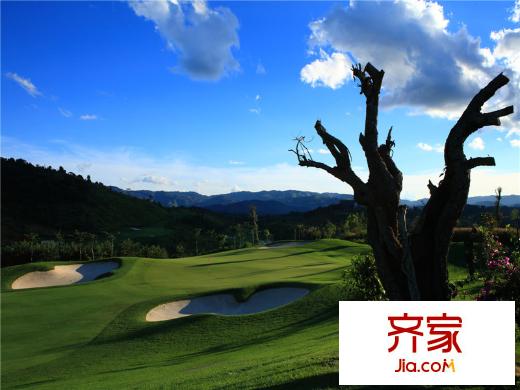 勐巴拉六国皇家植物园度假秘境球场(2014.4.14)