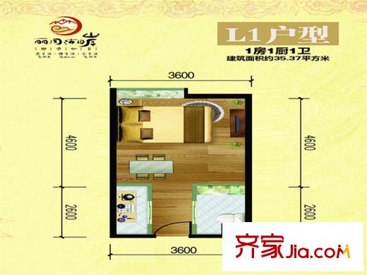 丽月湖岸L1户型户型图 1室1厅1卫1厨