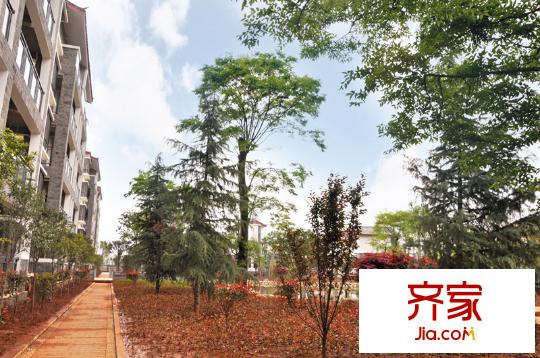 一米阳光快乐家园(2013-04-15)