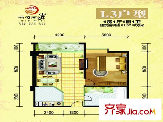 丽月湖岸L3户型户型图 1室1厅1卫1厨