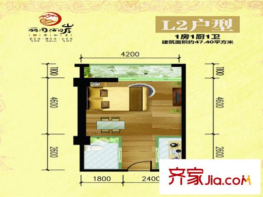 丽月湖岸L2户型户型图 1室1卫1厨