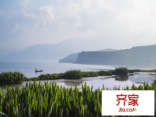 仙湖锦绣外景(2014-6-13)