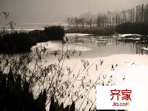 仙湖锦绣外景(2014-6-13)