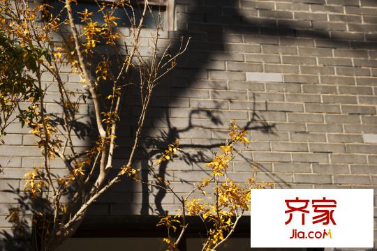 洱海传奇(2014.12.31)