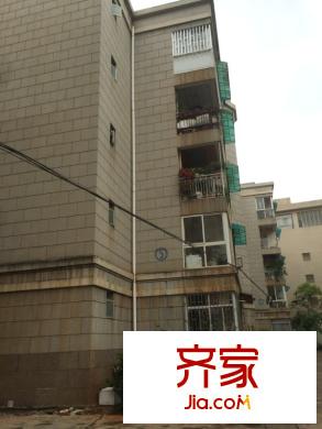 滇池路检察院宿舍外景图conew_img_9809