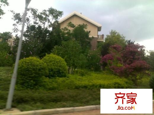 东岸紫园外景图5