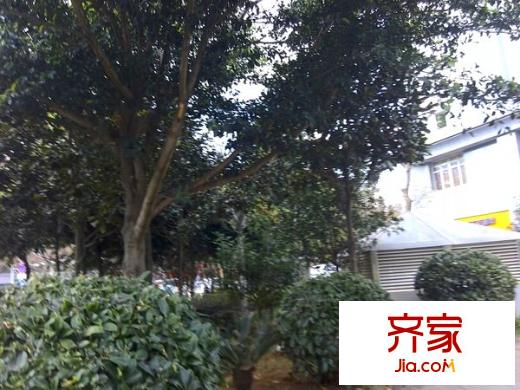非常天地外景图