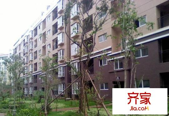 新河居小区外景图