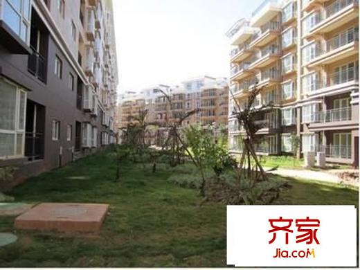 新河居小区外景图