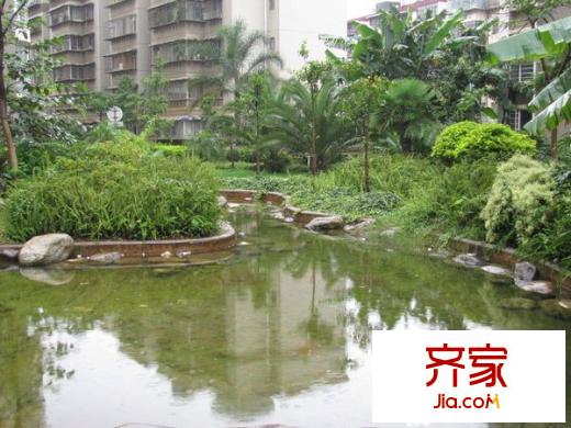 前卫西路桂园小区外景图405876170600
