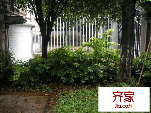 金色家园南园外景图