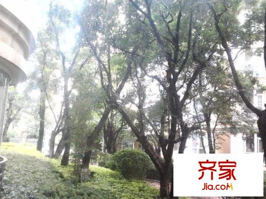 金色家园南园外景图