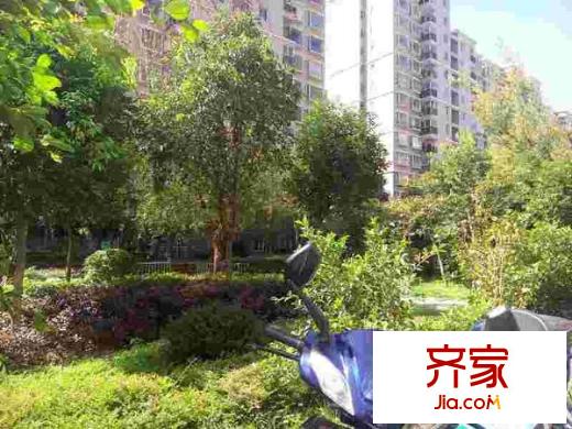 上林宽境外景图