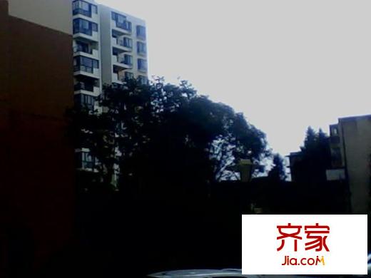 东方丽苑外景图