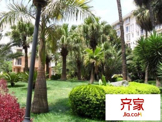 南苑小区泰园外景图泰园