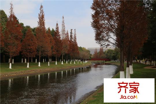 俊发九夏云水小区园林(2015.12.07)