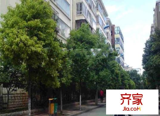 曙光轻工厅实景图