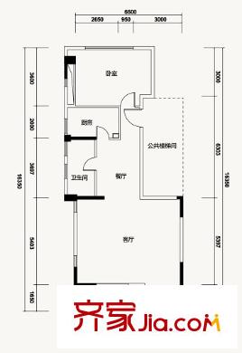 万科白沙润园B1户型(一层) 1室2厅1卫1厨