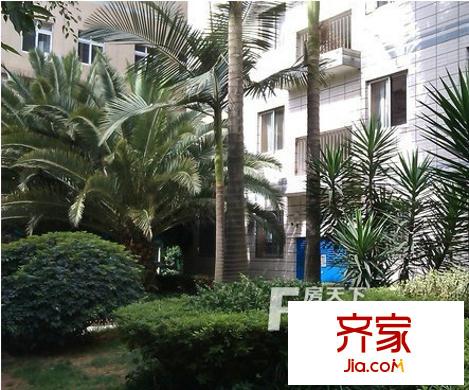 临江花园外景图 外