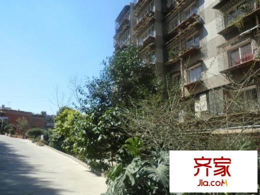建材设计院外景图