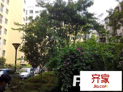 幸福家园外景图