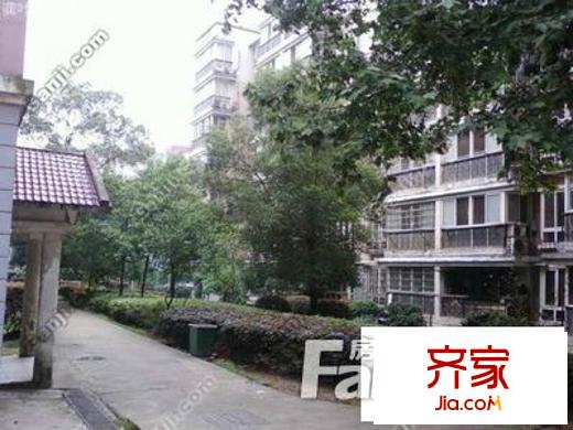 电视机厂宿舍外景图
