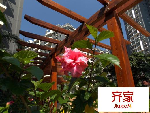假日尚岛花园实景图小区内(2013-05-22)