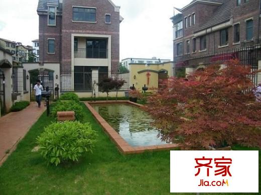 森林湖外景图