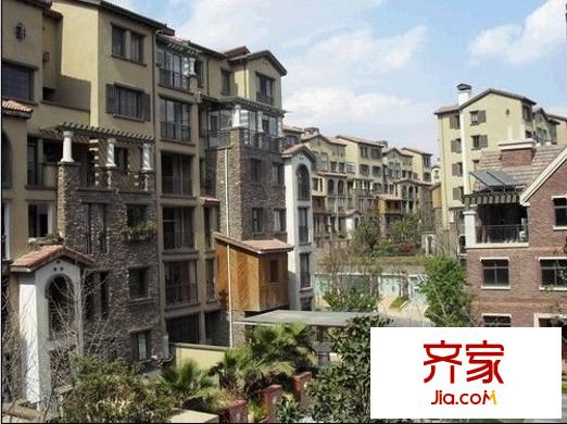 森林湖外景图