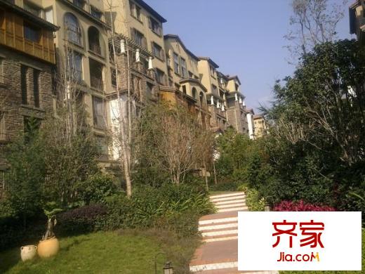 森林湖外景图
