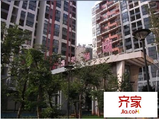 朝花曦拾外景图