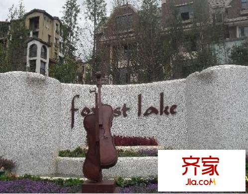 森林湖外景图