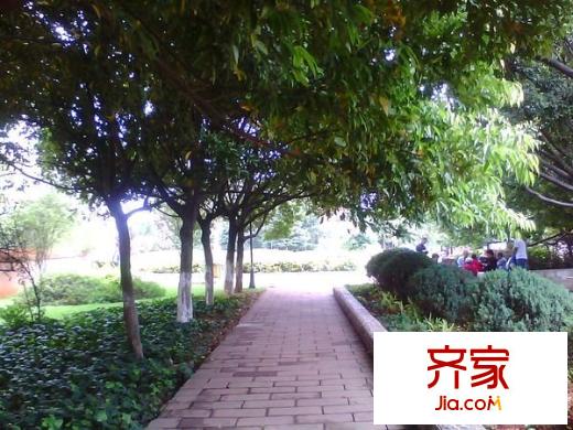 双龙汇外景图