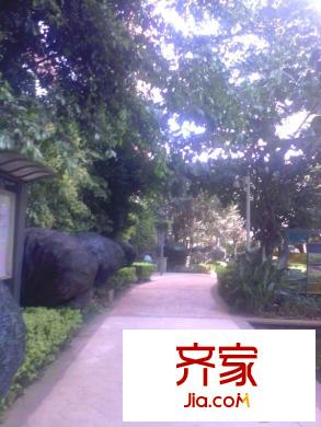 顺新时代外景图