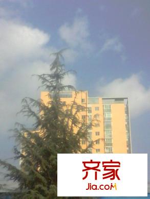 顺新时代外景图