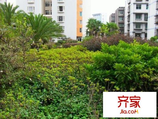 金碧馨园外景图五房