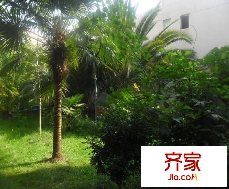 绿景花园外景图