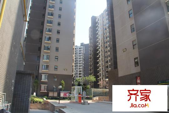 百年印象实景图(2015-3-18)