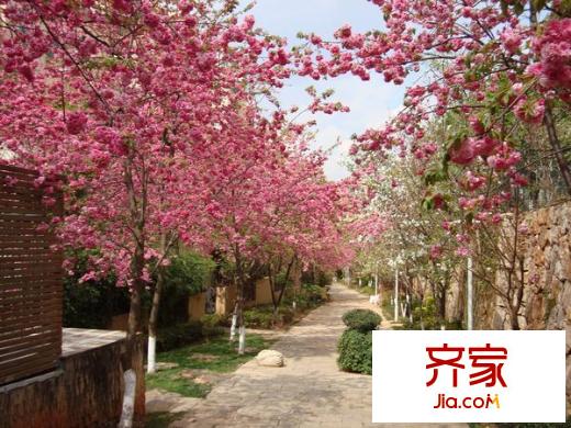公园道一号外景图