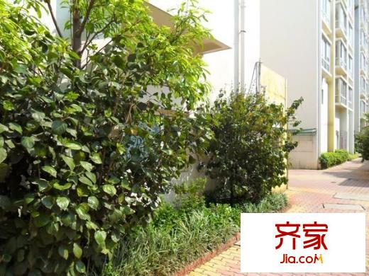 桂华新园外景图
