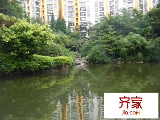 凤凰城外景图