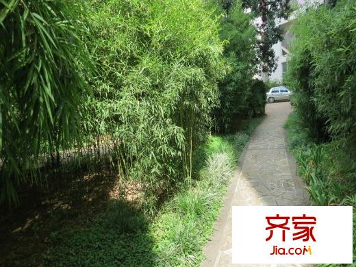 时代风华一期外景图