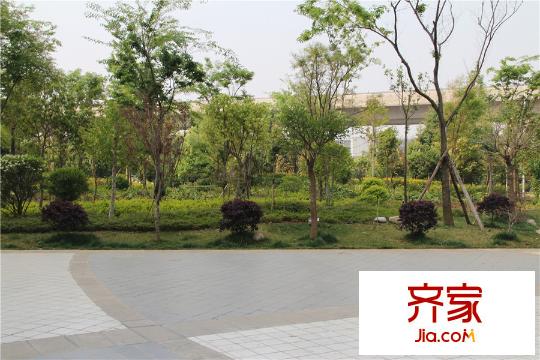 新亚洲欢乐城实景图小区绿化(2015-03-22)