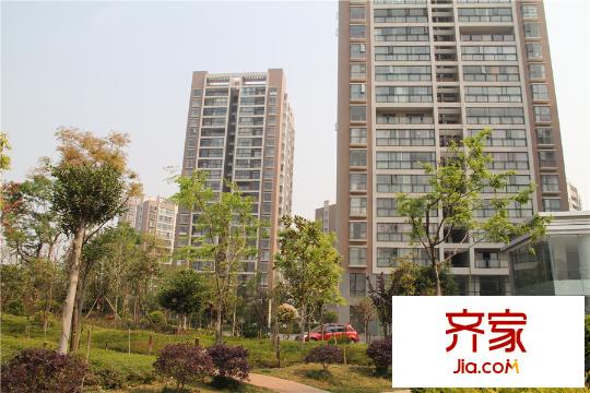 新亚洲欢乐城实景图项目楼座(2015-03-22)